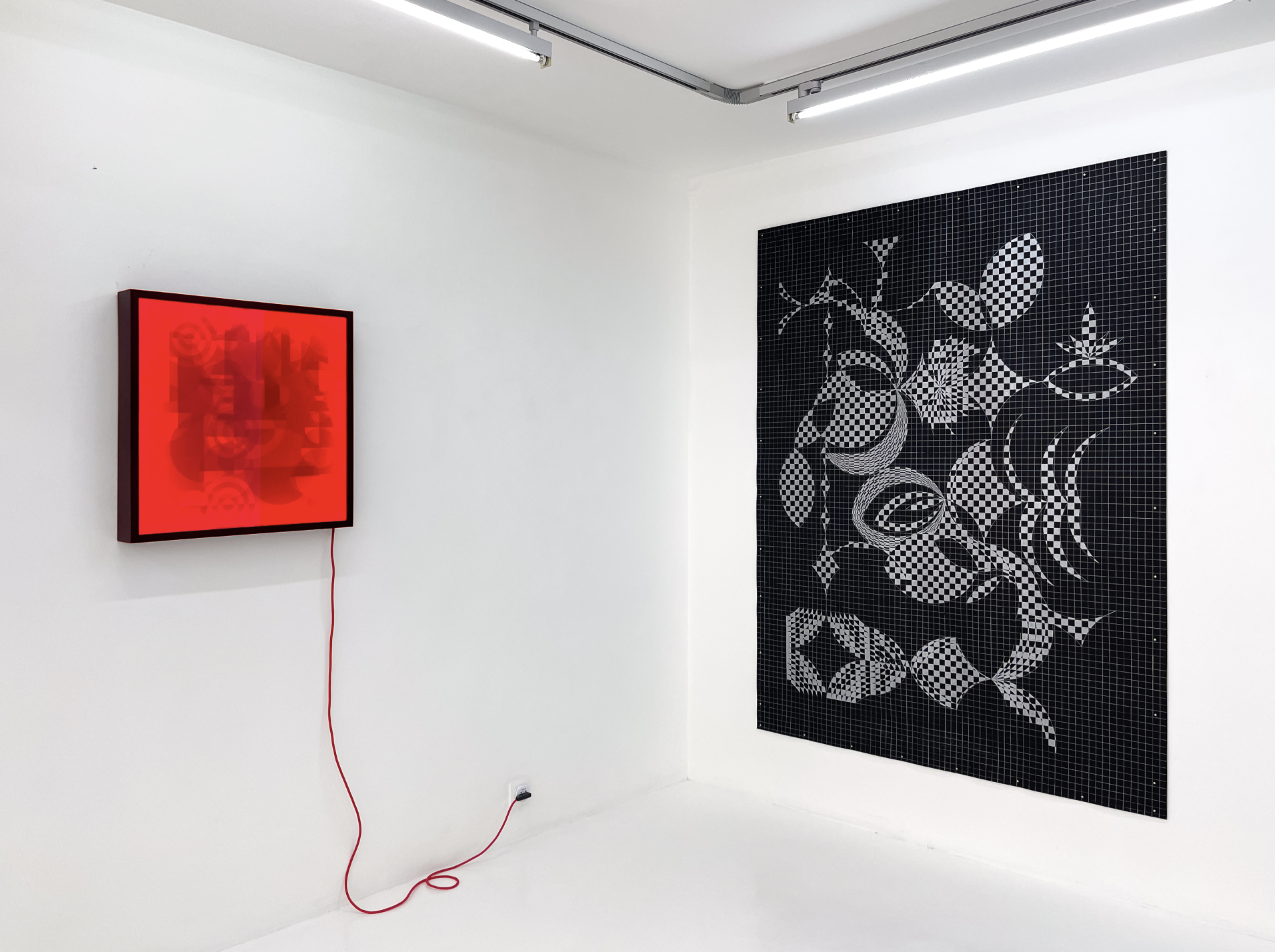 Trayendo a casa todo ese fulgor