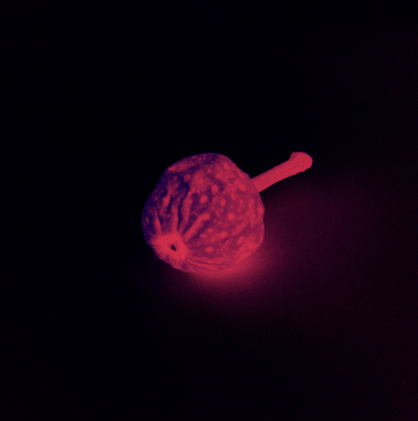 Ma&ntilde;ana es mejor / Marzo 2023